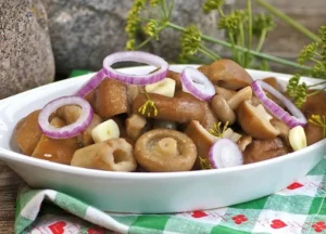 Мариновані вовнянки